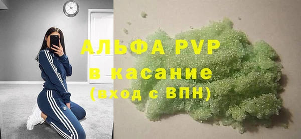 стаф Алексин
