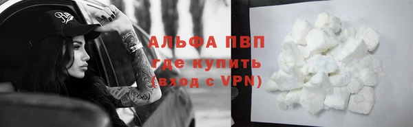 сатива Алзамай