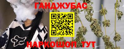 гидра Краснознаменск