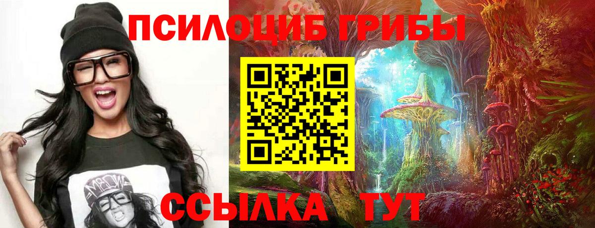 Ижевск  Псилоцибиновые грибы мухоморы  Вход с VPN 